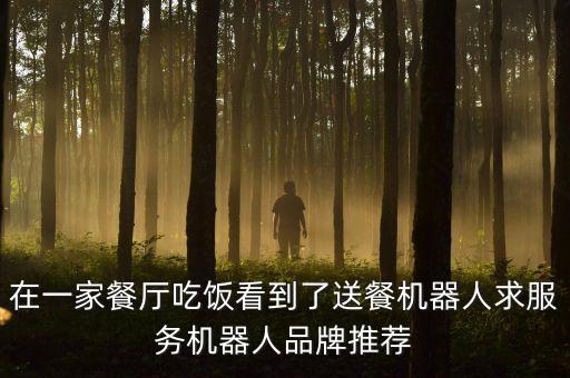 在一家餐廳吃飯看到了送餐機器人求服務(wù)機器人品牌推薦