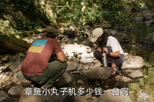 小型丸子機(jī)多少錢一臺，章魚小丸子機(jī)器多少錢