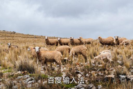 百度輸入法ai侃侃下載，百度輸入法