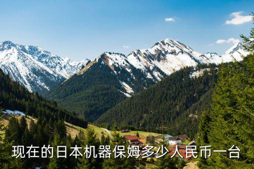 智能保姆機器人多少錢一臺，現(xiàn)在的日本機器保姆多少人民幣一臺