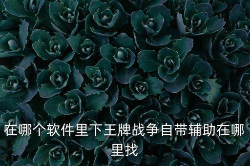 在哪個軟件里下王牌戰(zhàn)爭自帶輔助在哪里找