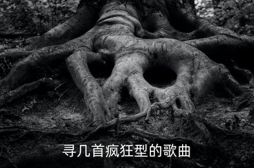 尋幾首瘋狂型的歌曲