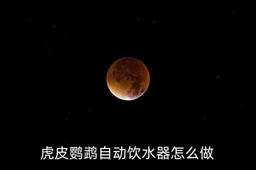 虎皮鸚鵡自動(dòng)飲水器怎么做