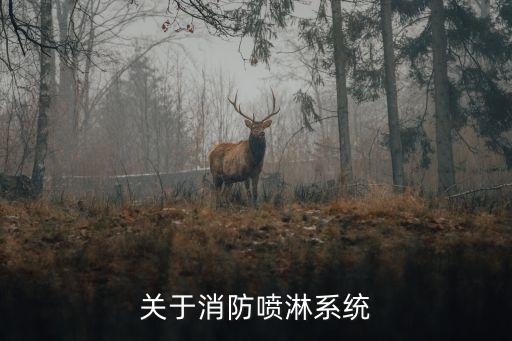 消防噴淋系統(tǒng)，關(guān)于消防噴淋系統(tǒng)