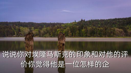 說說你對埃隆馬斯克的印象和對他的評價你覺得他是一位怎樣的企