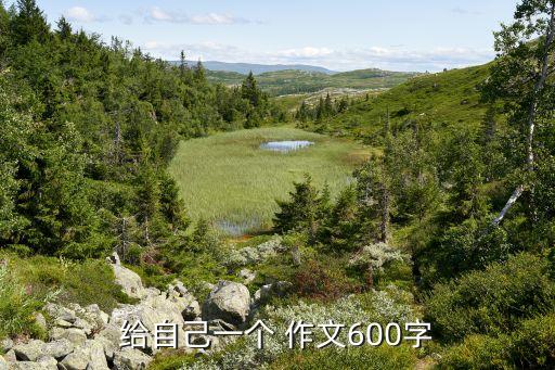 給自己一個(gè) 作文600字