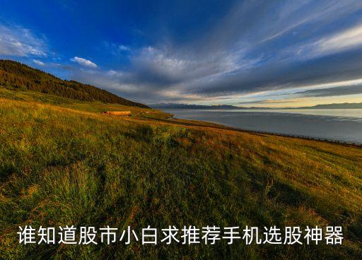 選股神器成功率100免費手機(jī)版，股票軟件哪個好股票軟件成功率排行榜介紹下啊