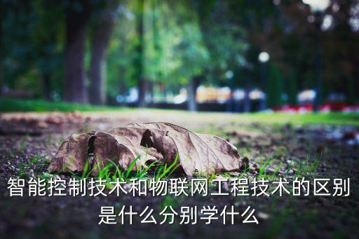 智能控制技術(shù)和物聯(lián)網(wǎng)工程技術(shù)的區(qū)別是什么分別學(xué)什么