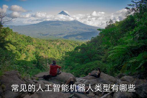 身邊的人工智能設(shè)備有哪些，常見的人工智能機器人類型有哪些