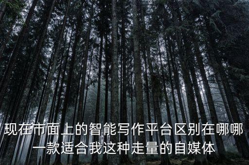 現(xiàn)在市面上的智能寫作平臺區(qū)別在哪哪一款適合我這種走量的自媒體