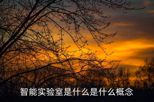智能實驗室是什么是什么概念