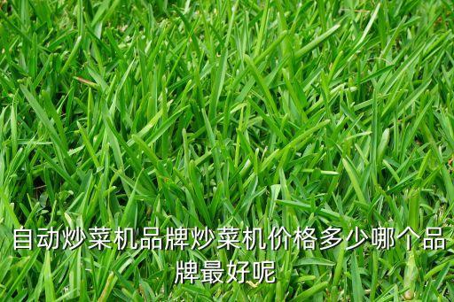自動(dòng)炒菜機(jī)品牌炒菜機(jī)價(jià)格多少哪個(gè)品牌最好呢