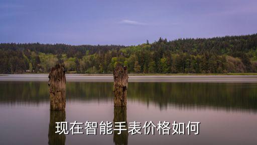 智能手表多少錢，現(xiàn)在智能手表價(jià)格如何