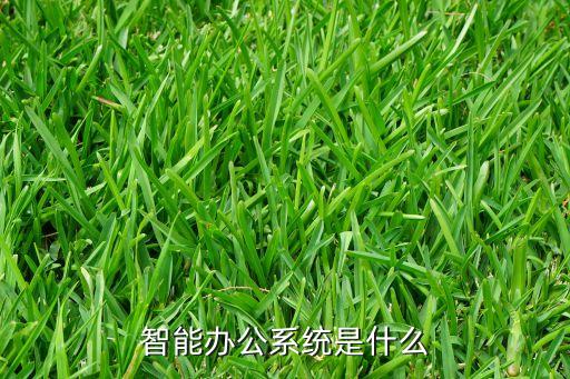 智能辦公系統(tǒng)是什么