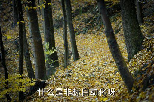 什么是非標自動化呀