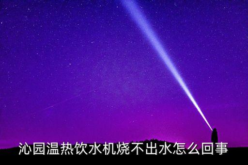 沁園溫?zé)犸嬎畽C燒不出水怎么回事