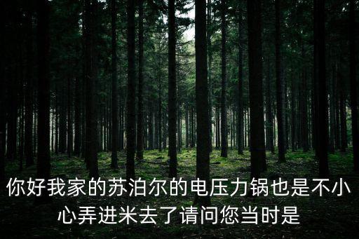 你好我家的蘇泊爾的電壓力鍋也是不小心弄進(jìn)米去了請(qǐng)問您當(dāng)時(shí)是