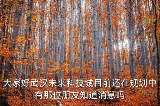 未來科技城范圍擴大，大家好武漢未來科技城目前還在規(guī)劃中有那位朋友知道消息嗎