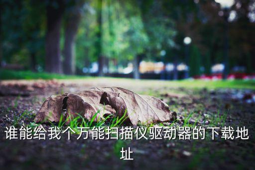 誰(shuí)能給我個(gè)萬(wàn)能掃描儀驅(qū)動(dòng)器的下載地址