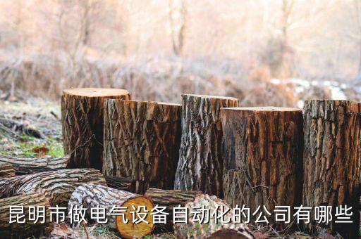 昆明市做電氣設(shè)備自動化的公司有哪些