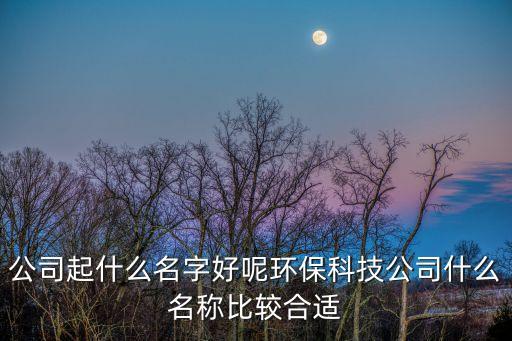 公司起什么名字好呢環(huán)?？萍脊臼裁疵Q(chēng)比較合適