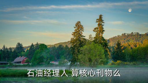 石油科技論壇是核心期刊嗎，石油經(jīng)理人 算核心刊物么