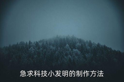 急求科技小發(fā)明的制作方法