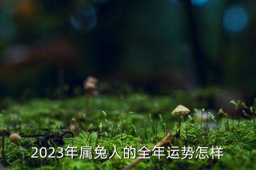 2023年屬兔人的全年運勢怎樣