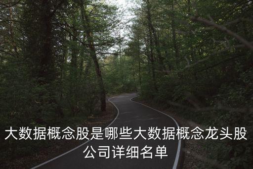 數(shù)字經(jīng)濟概念股龍頭基金有哪些，大數(shù)據(jù)概念股票龍頭股票有哪些