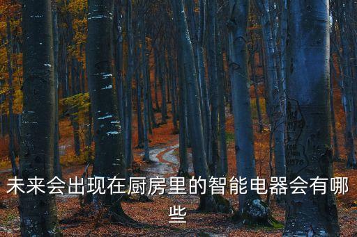 廚房智能電器有哪些，智能廚房主要有哪些產(chǎn)品