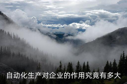 自動化生產(chǎn)對企業(yè)的作用究竟有多大