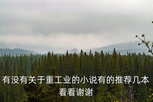 有沒(méi)有關(guān)于重工業(yè)的小說(shuō)有的推薦幾本看看謝謝