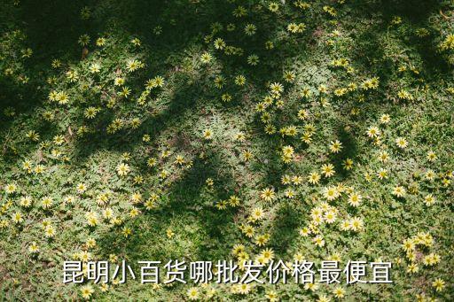 百貨小商品，百貨小商品有哪些