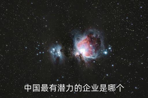 中國(guó)最有潛力的企業(yè)是哪個(gè)