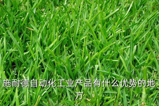 施耐德自動化工業(yè)產(chǎn)品有什么優(yōu)勢的地方