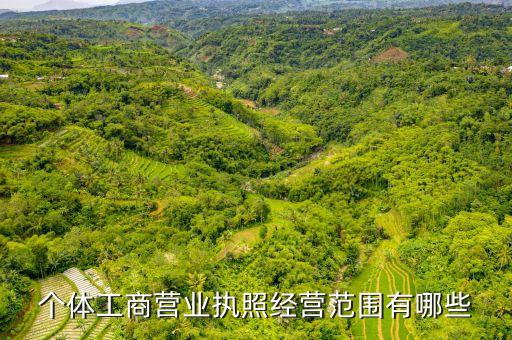 營業(yè)執(zhí)照經(jīng)營范圍大全，關于經(jīng)營范圍
