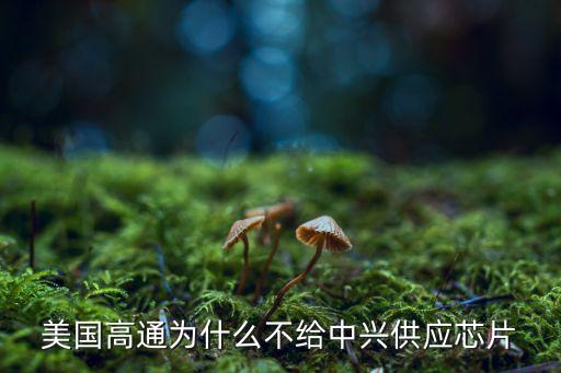 美國高通為什么不給中興供應(yīng)芯片