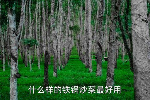 什么樣的鐵鍋炒菜最好用
