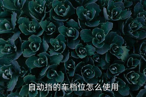 自動擋車的檔位使用，自動擋汽車正確使用擋位怎樣的