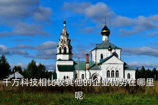 千方科技相比較其他的企業(yè)優(yōu)勢(shì)在哪里呢