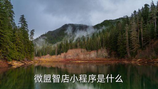 微盟智慧零售，微盟智慧零售如何開通