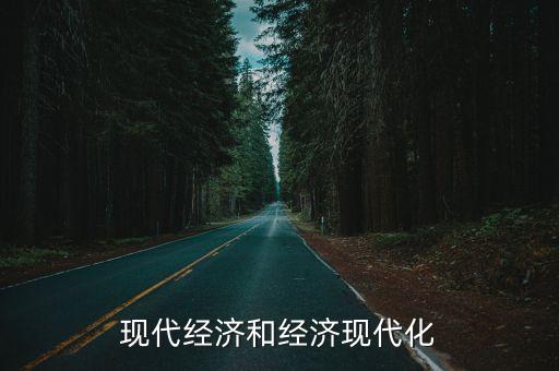 現(xiàn)代經(jīng)濟(jì)和經(jīng)濟(jì)現(xiàn)代化