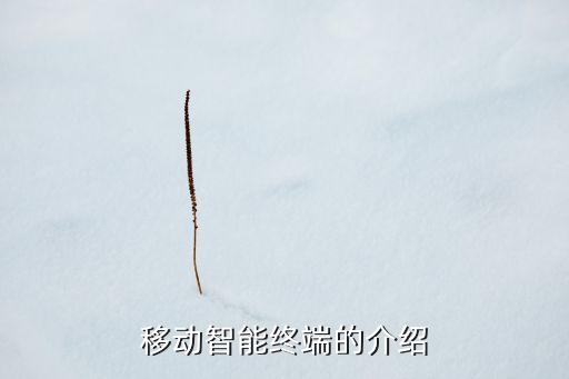 移動智能終端的介紹