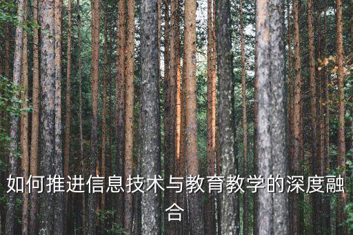 如何推進信息技術(shù)與教育教學的深度融合