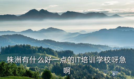 株洲有什么好一點(diǎn)的IT培訓(xùn)學(xué)校呀急啊