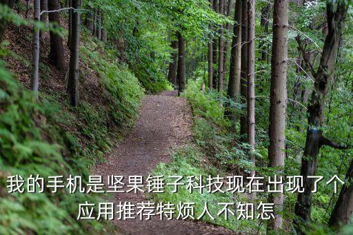 錘子科技論壇關(guān)閉，論壇插件不存在或已關(guān)閉如何解決