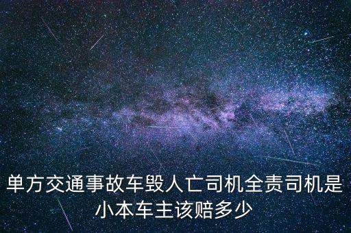 單方交通事故車(chē)毀人亡司機(jī)全責(zé)司機(jī)是小本車(chē)主該賠多少