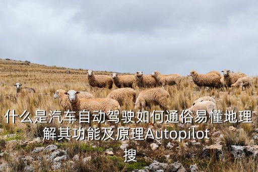 什么是汽車自動(dòng)駕駛?cè)绾瓮ㄋ滓锥乩斫馄涔δ芗霸鞟utopilot  搜