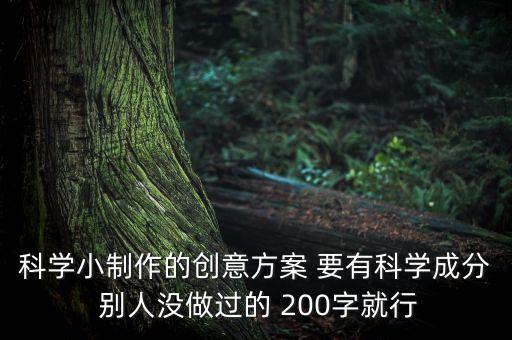 科學(xué)小制作的創(chuàng)意方案 要有科學(xué)成分 別人沒做過的 200字就行