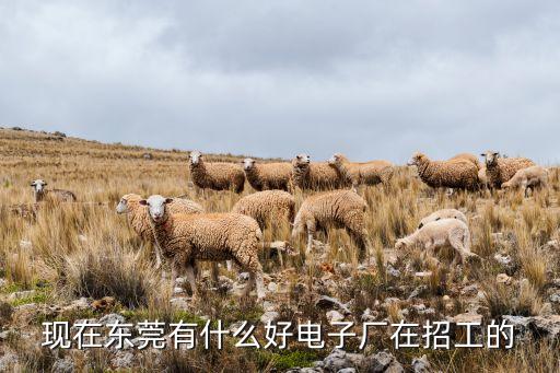現(xiàn)在東莞有什么好電子廠在招工的